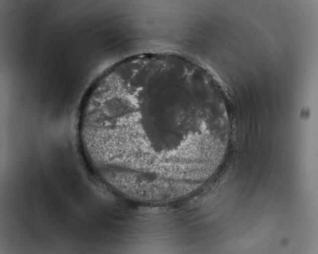 X0000102490679200809051323