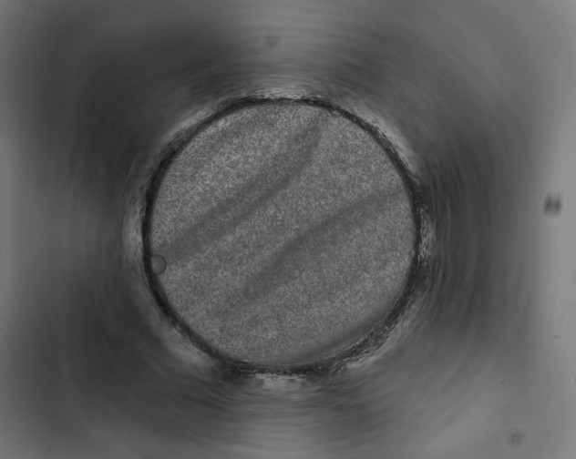 X0000102490681200809051323