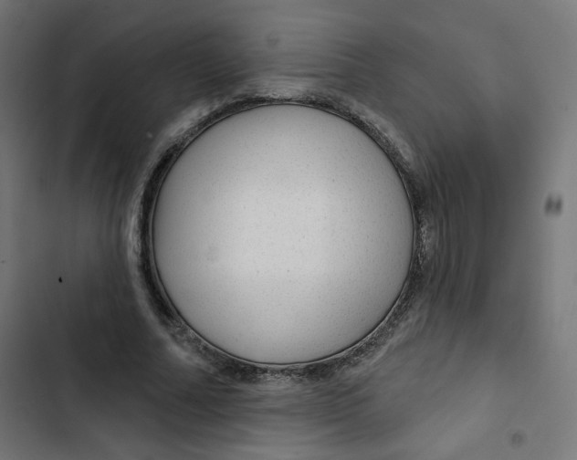 X0000102490682200809051323