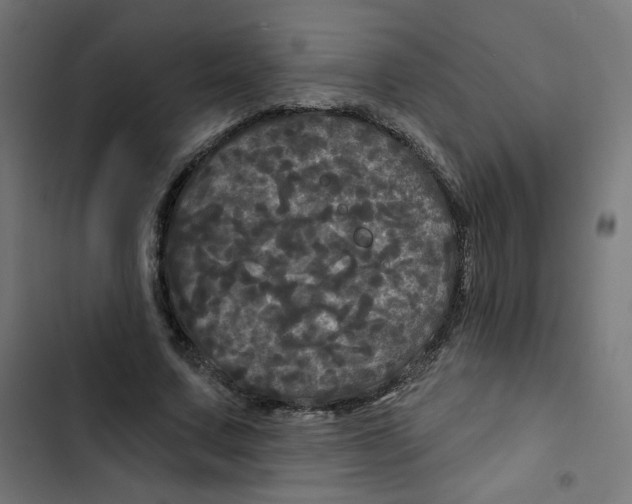 X0000102490683200809051323