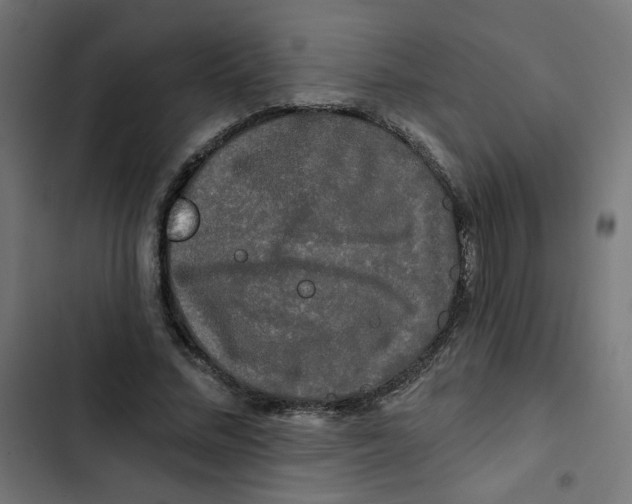 X0000102490684200809051323