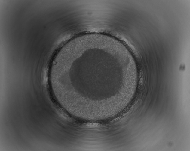 X0000102490685200809051323