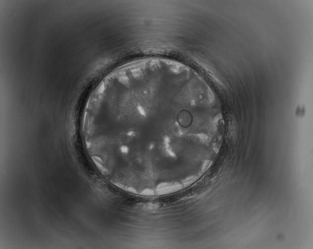 X0000102490687200809051323