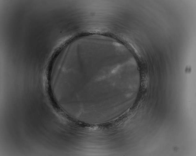 X0000102490688200809051323