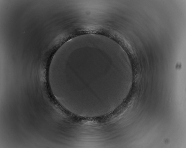 X0000102490689200809051323