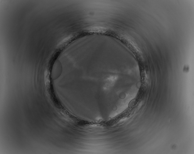 X0000102490692200809051322