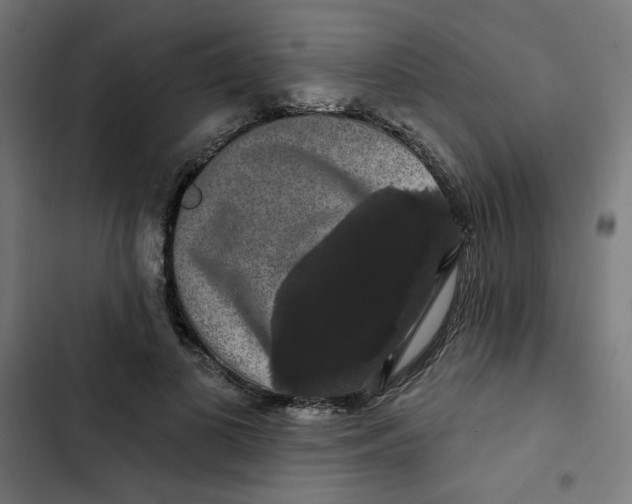 X0000102490693200809051322