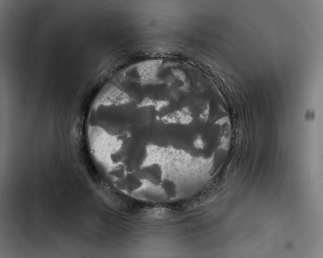 X0000102490695200809051322