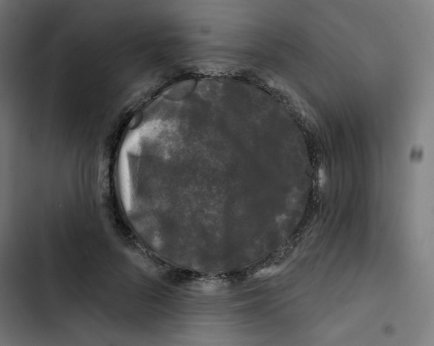 X0000102490696200809051322