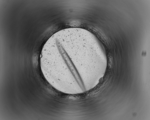 X0000102490697200809051322