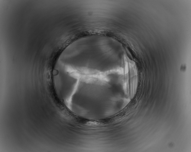 X0000102490699200809051322