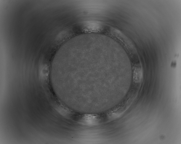 X0000102490701200809051322