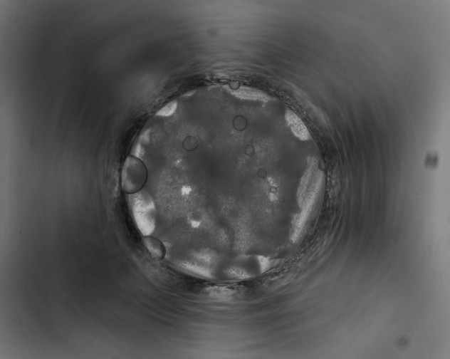 X0000102490703200809051322