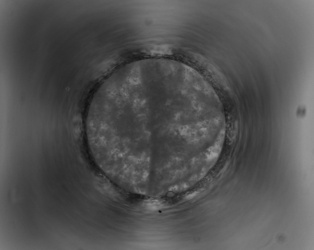 X0000102490704200809051322