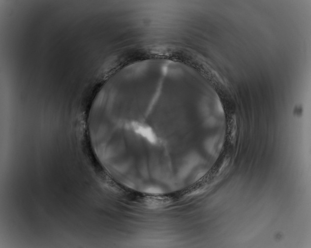 X0000102490707200809051322