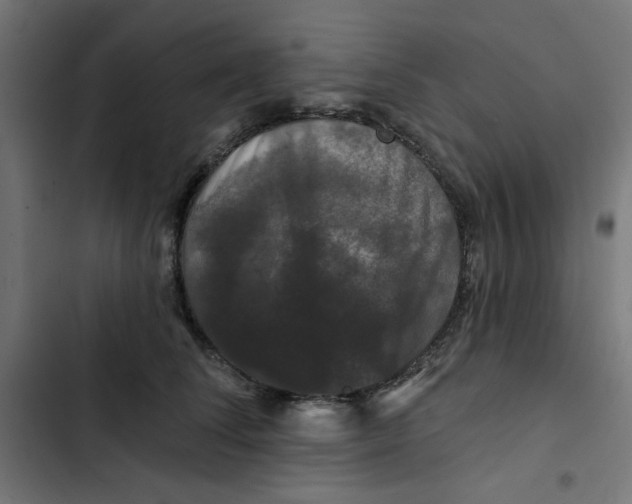 X0000102490708200809051322