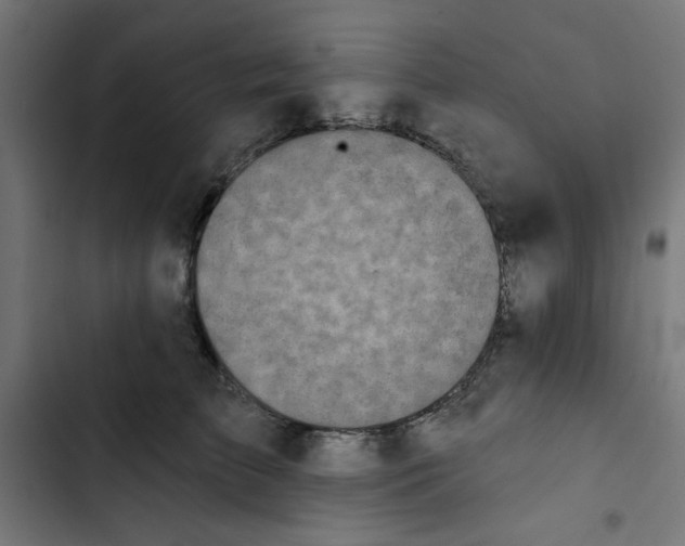 X0000102490709200809051322