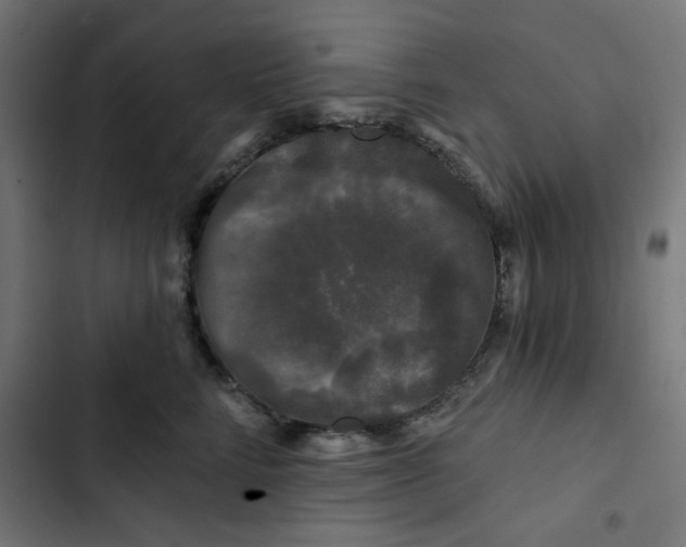 X0000102490712200809051322