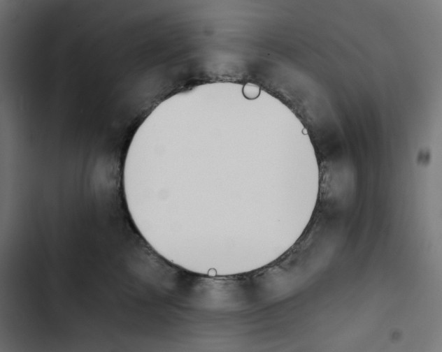 X0000102490713200809051322