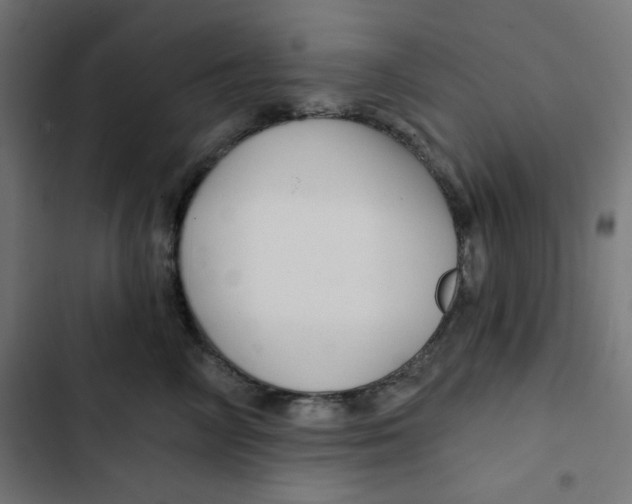 X0000102490714200809051322