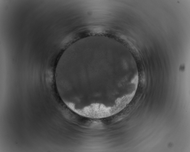 X0000102490715200809051322