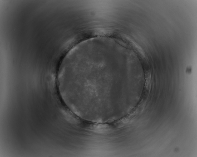 X0000102490716200809051322