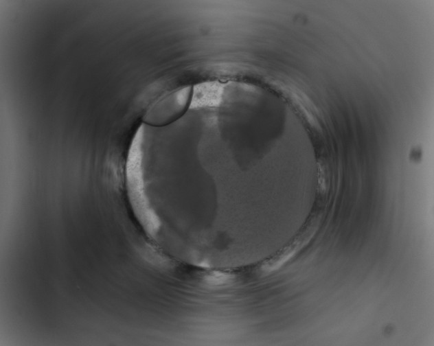 X0000102490718200809051322