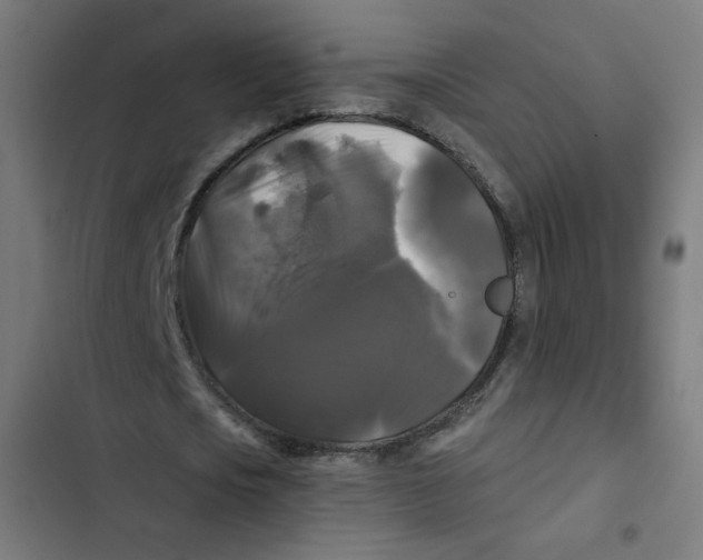 X0000102490721200809051321