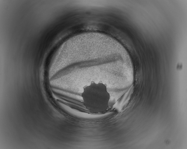 X0000102490722200809051321