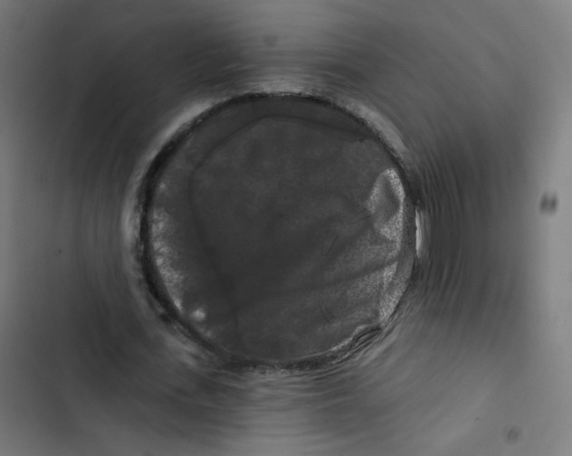 X0000102490723200809051321