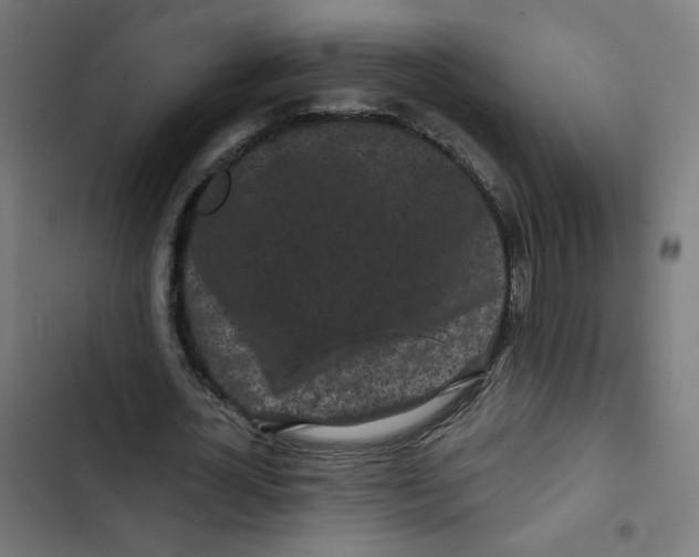 X0000102490724200809051321