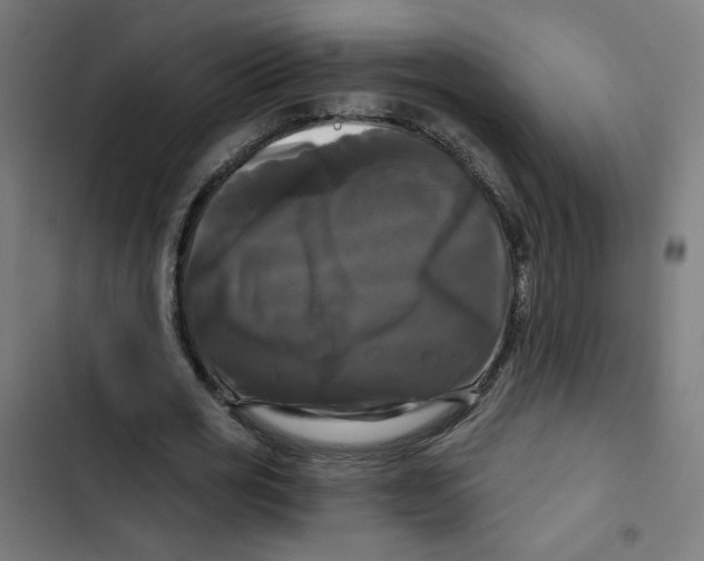 X0000102490725200809051321