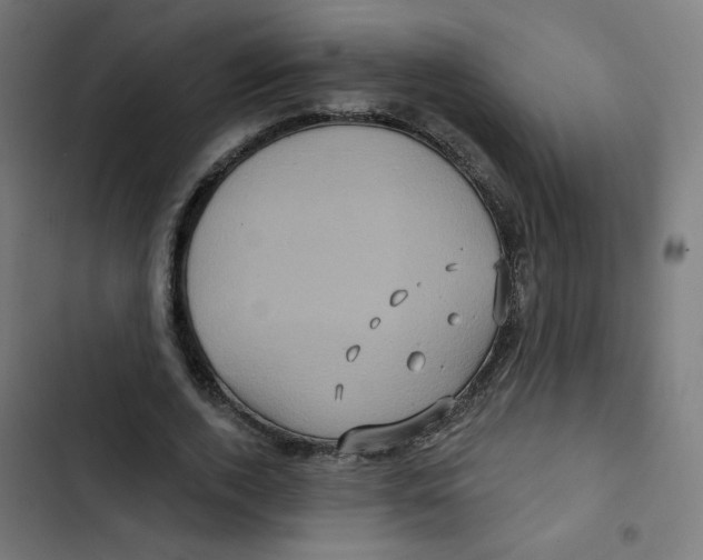 X0000102490728200809051322