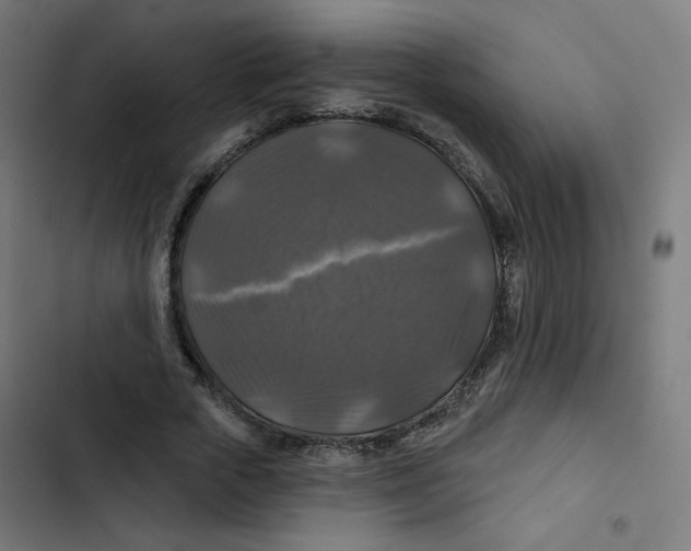 X0000102490729200809051322