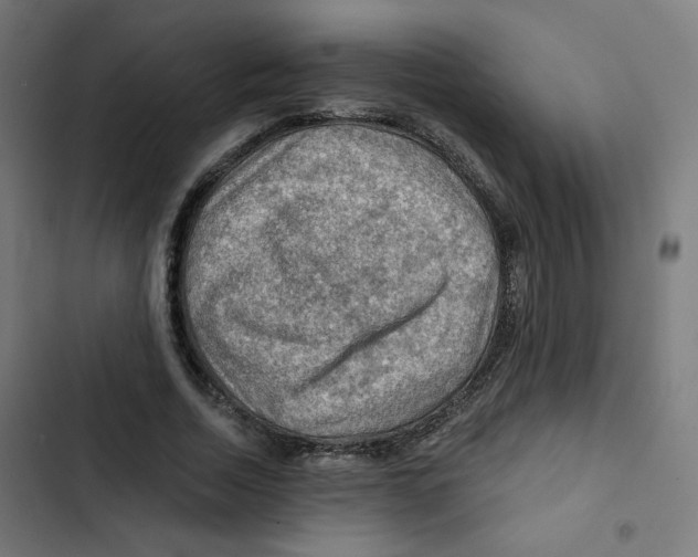 X0000102490730200809051322