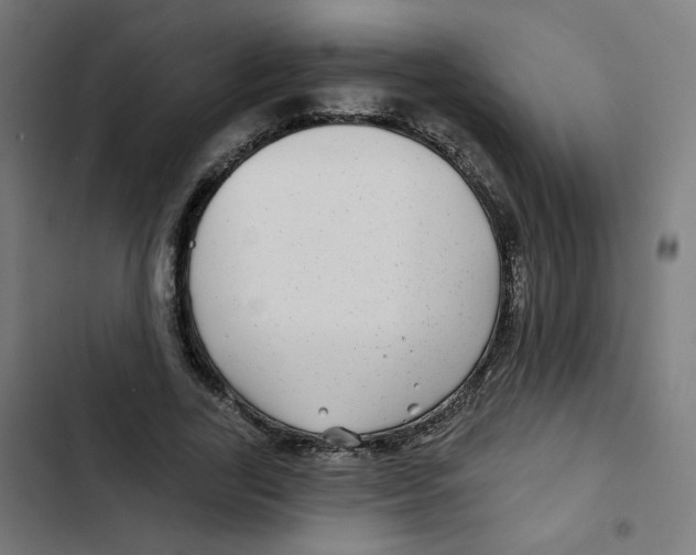 X0000102490731200809051322