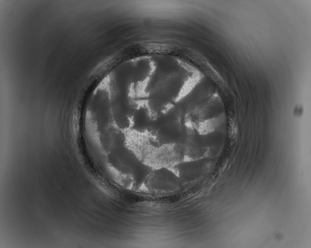 X0000102490733200809051322