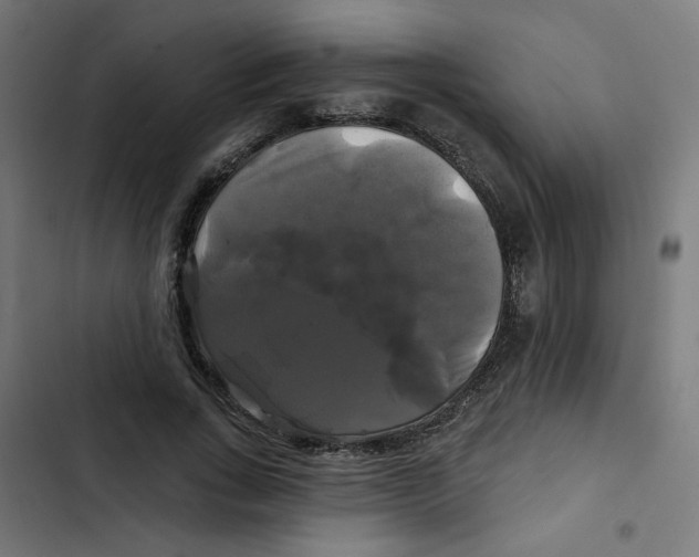 X0000102490735200809051322