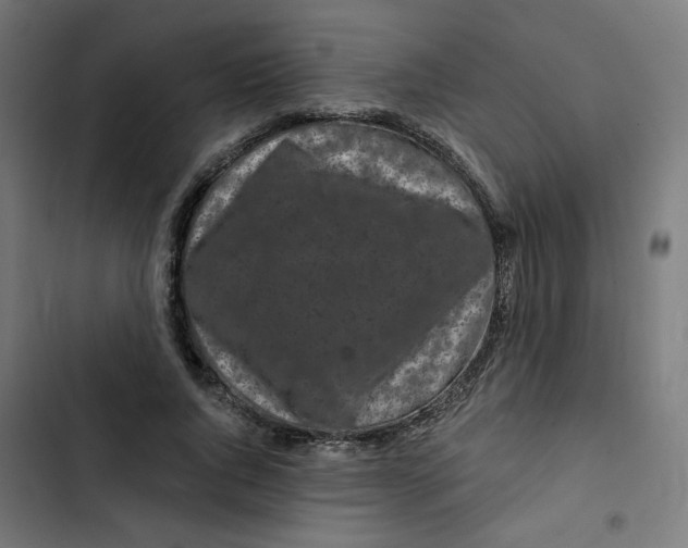 X0000102490736200809051322