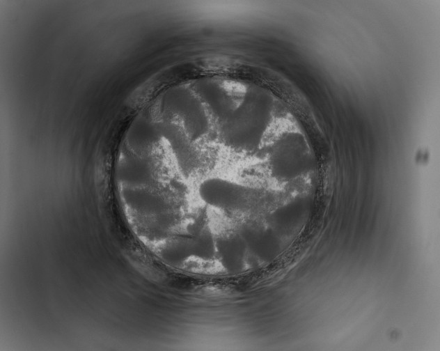 X0000102490737200809051322