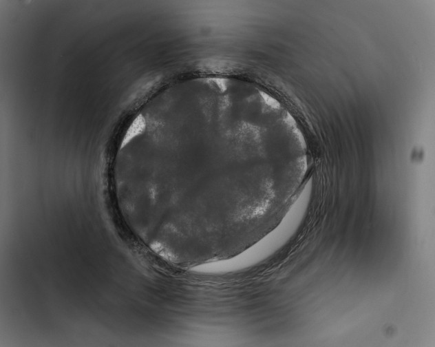 X0000102490738200809051322