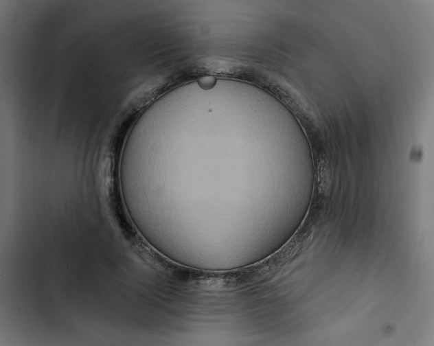 X0000102490740200809051322