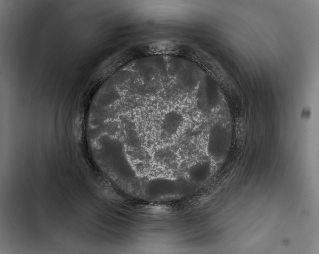 X0000102490741200809051322