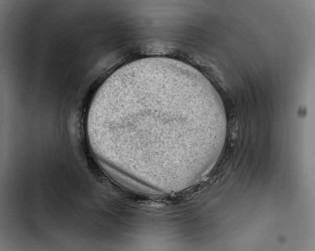 X0000102490743200809051322