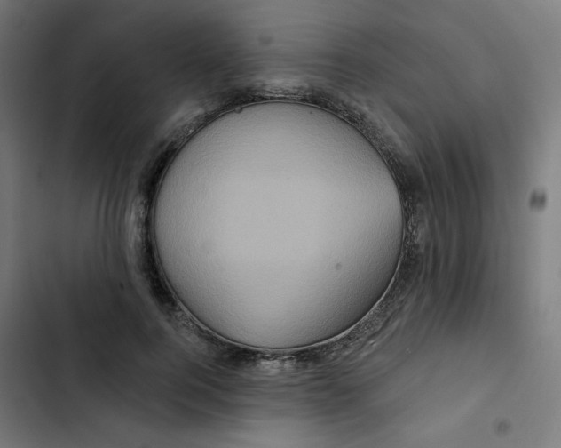 X0000102490744200809051322