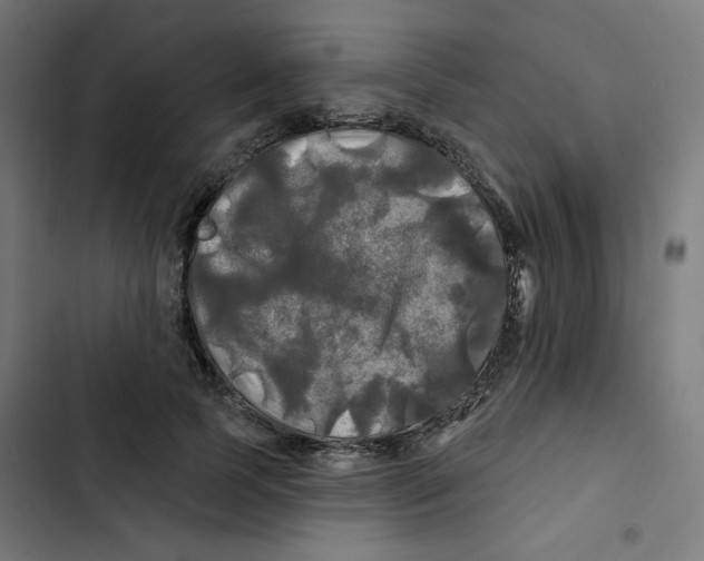 X0000102490745200809051322