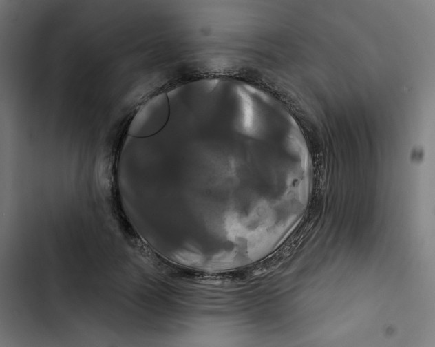 X0000102490746200809051322