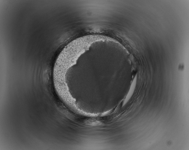 X0000102490747200809051322