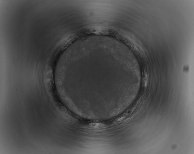 X0000102490748200809051322