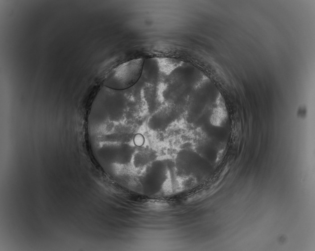 X0000102490749200809051322